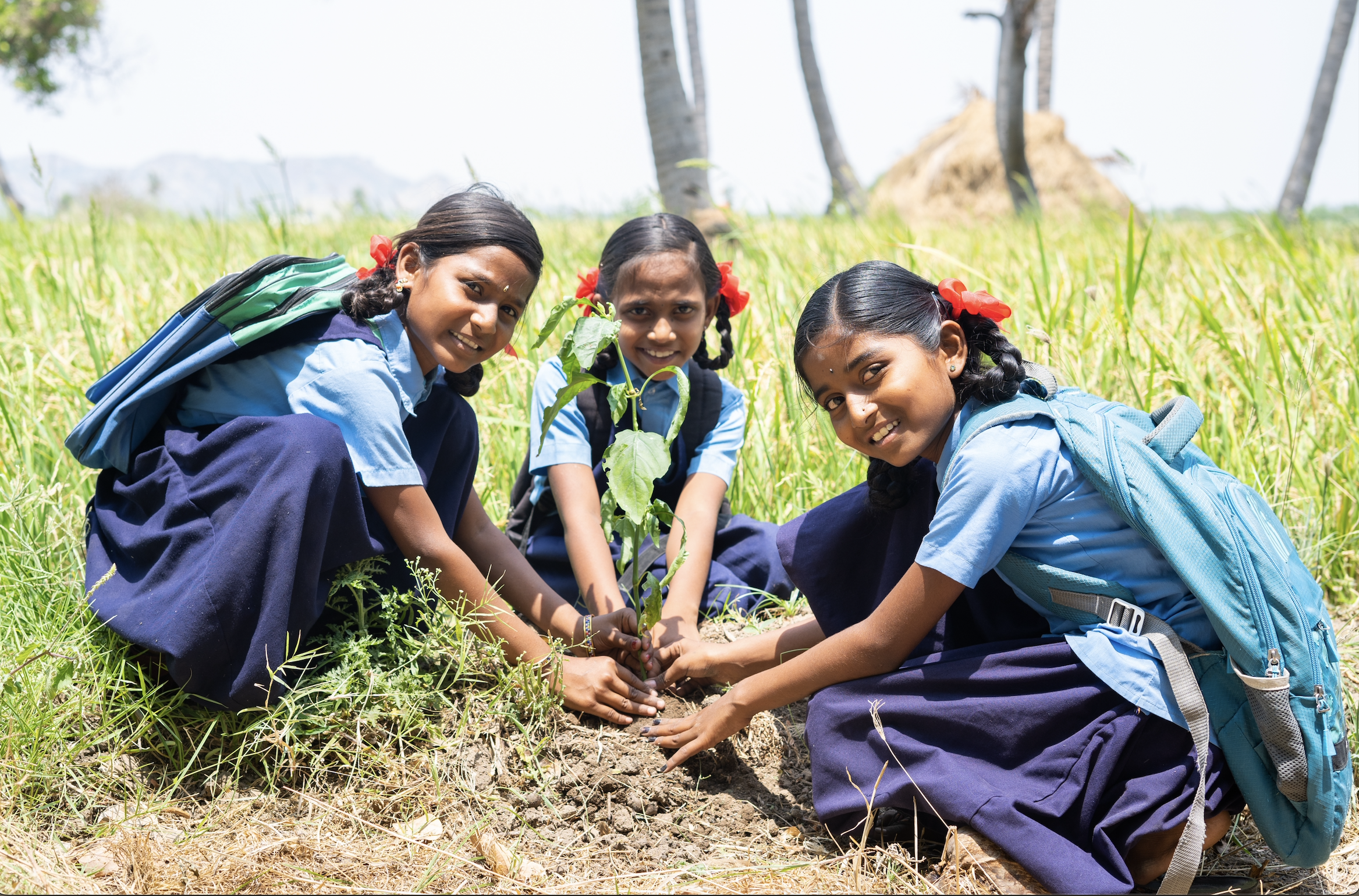 Children planting