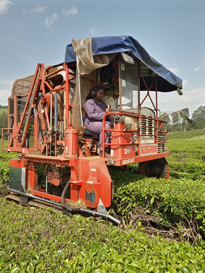 SDG Action Manager Logo