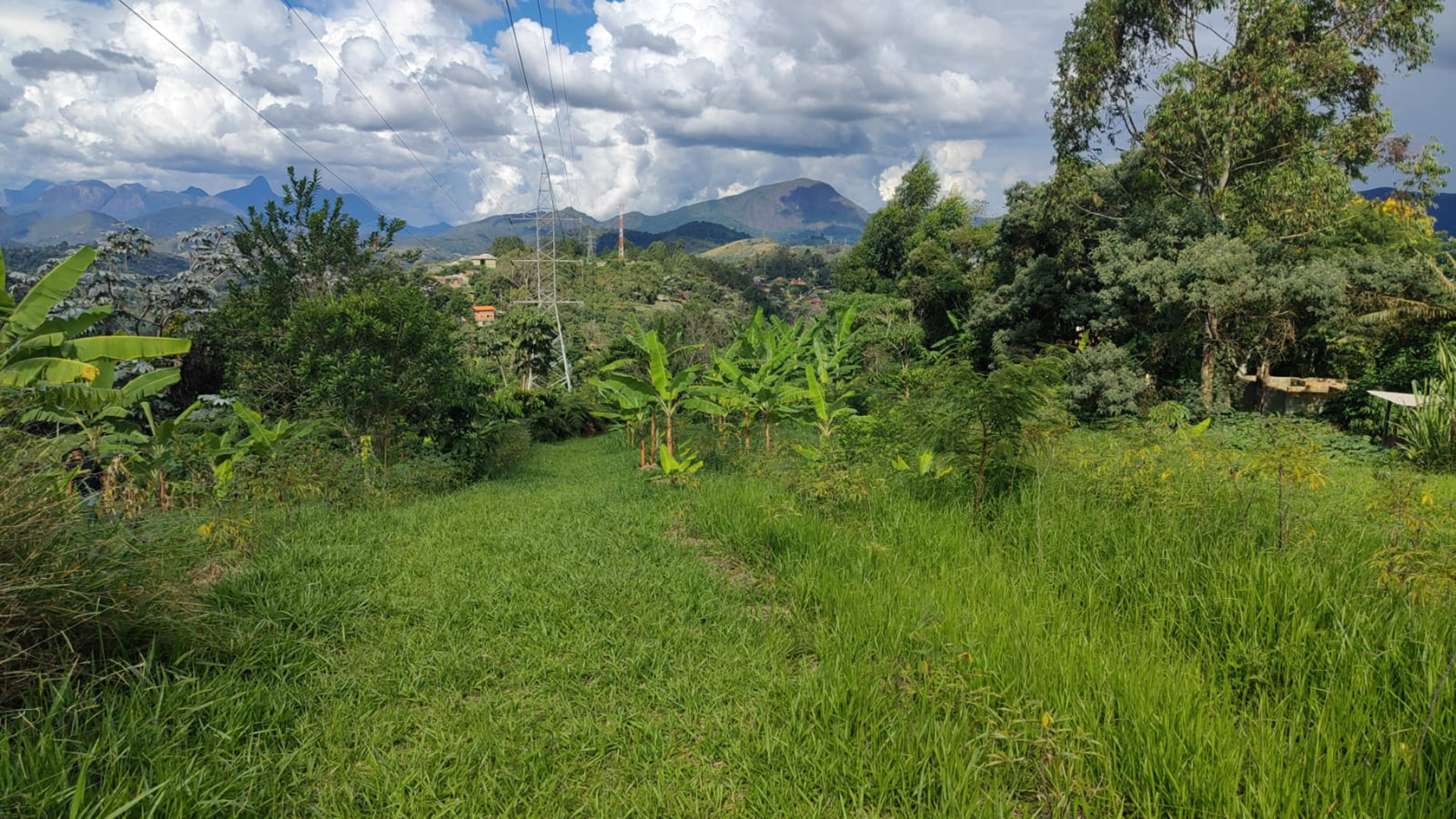 Rural landscape