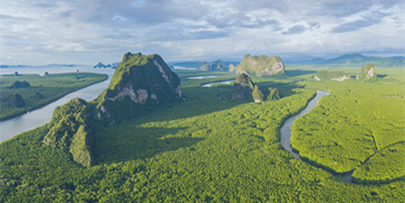 The image shows an aerial shot of greenery with a highway and water stream running through.