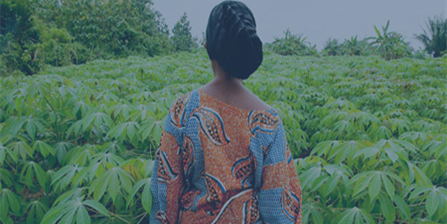 The image shows the profile of a woman facing a field of plants.