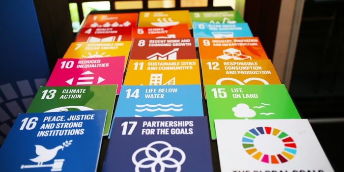 SDG tiles