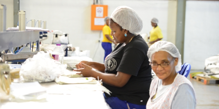 two women working in factory