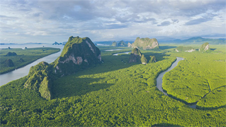 land