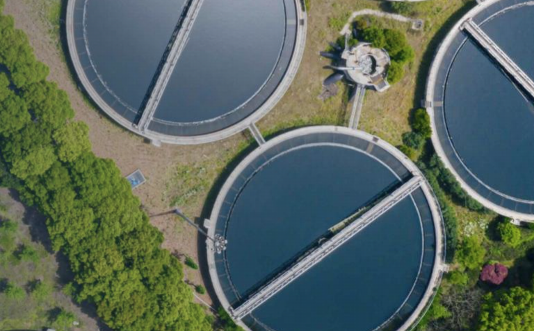 Water clean plant