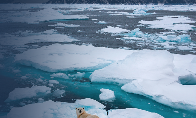 North Pole