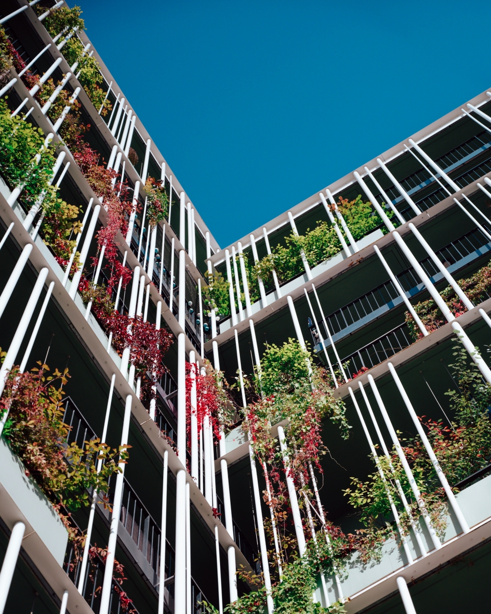 The Business Case for Sustainability  | Cambridge Institute for Sustainability Leadership (CISL)