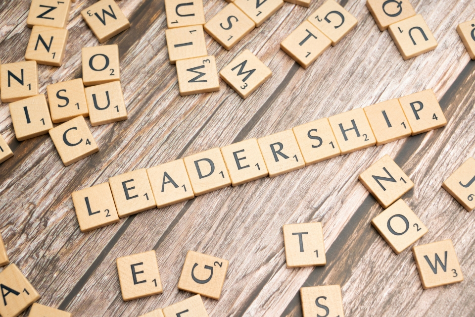 Leadership capabilities for the 21st century