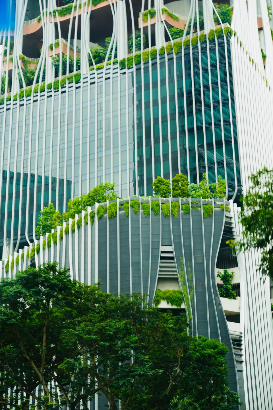 The Green Project Management (GPM) P5 Standard for Sustainability in Project Management