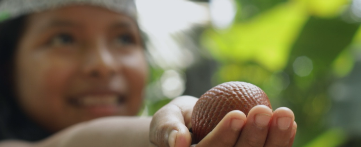 person holding fruit