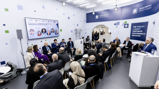 COP29