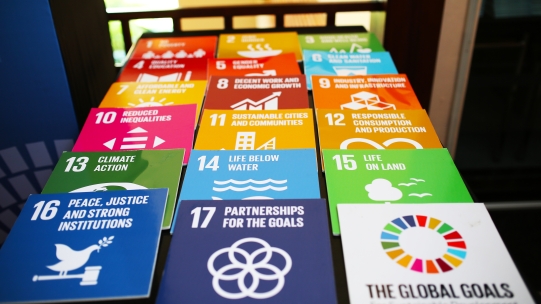 SDG tiles