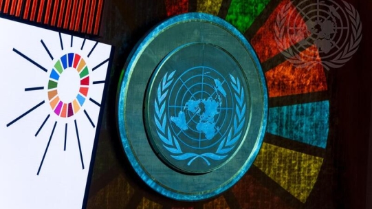 UN SDG 