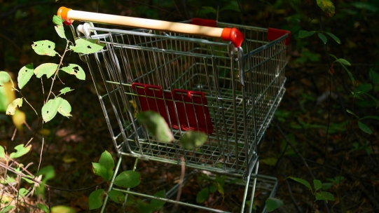 https://www.kantar.com/inspiration/sustainability/pandemic-inflation-and-politics-why-ethical-and-environmental-consumerism-is-here-to-stay