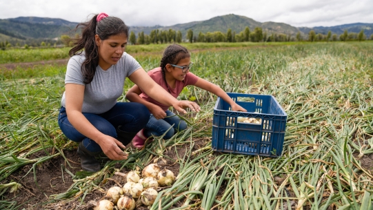 Woman and girl harvesting crops