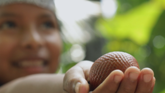 person holding fruit