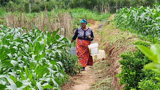 Small loans amount to big business for KWFT and life-enhancing outcomes for women in rural Kenya