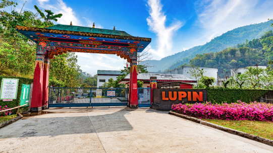 Lupin Entrance